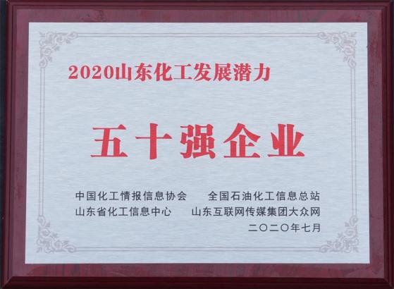 2020山東化工發(fā)展?jié)摿ξ迨畯?qiáng)企業(yè)